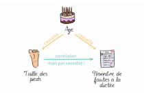 5) Corrélation et causalité
