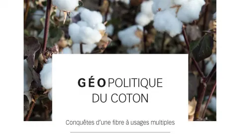 Coton