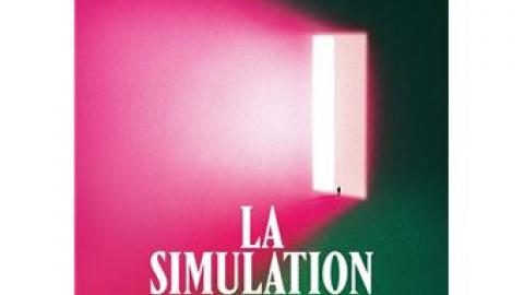 La simulation