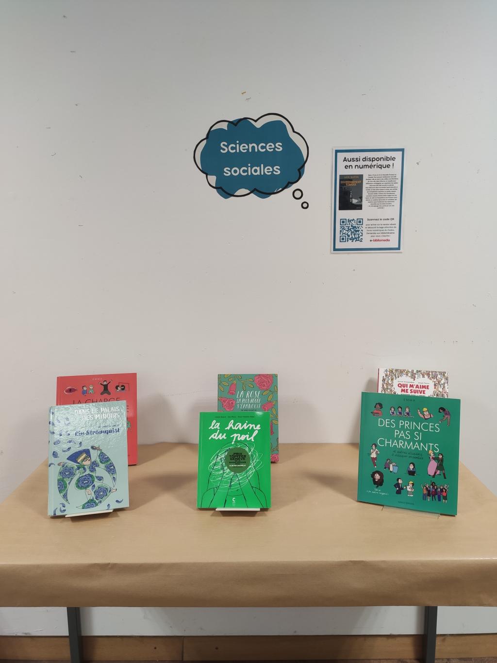 Sélection sciences sociales