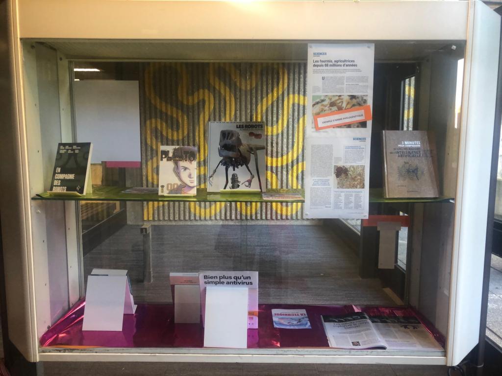 Vitrine inférieure 2