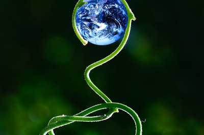 biodiversité