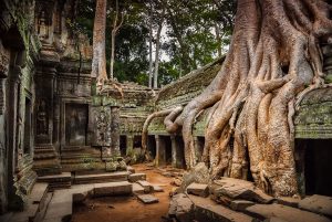 A_cambodge-84
